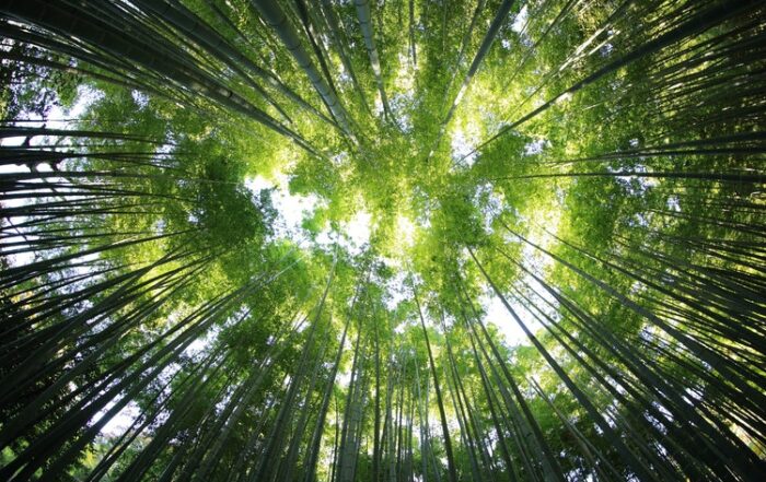 Journée Respiration holotropique à Villegailhenc - dimanche 4 février 2024 de 9h30 à 18h00